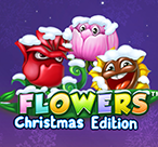 Flowers Christmas Edition